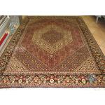 Six meter Bijar Carpet Handmade Mahi Design